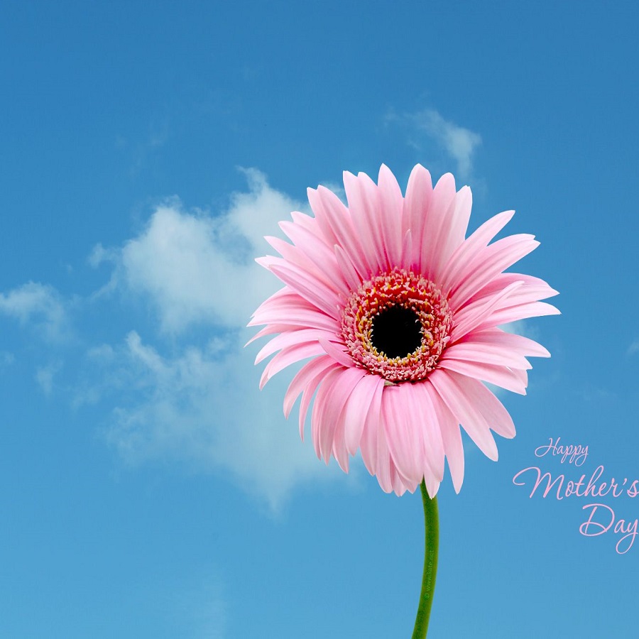 k-l-nail-best-nail-salon-in-lansing-mi-48917